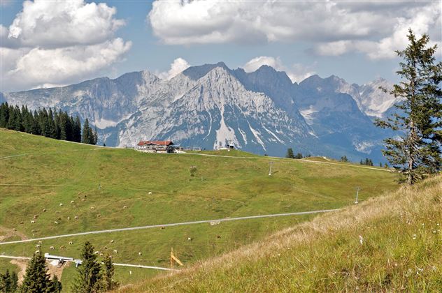 Eine grüne Landschaft mit sanften Hügeln und einigen Bäumen. Im Hintergrund erheben sich majestätische Berge unter einem teilweise bewölkten Himmel.