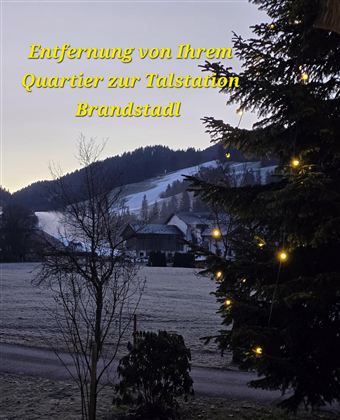 Eine winterliche Landschaft mit einem Blick auf Berge und Häuser. Ein schneebedeckter Boden und ein geschmückter Baum sind ebenfalls zu sehen.