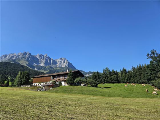 Eine malerische Landschaft mit einem Bauernhof, umgeben von Wiesen und Wäldern. Im Hintergrund erheben sich majestätische Berge unter einem klaren blauen Himmel.