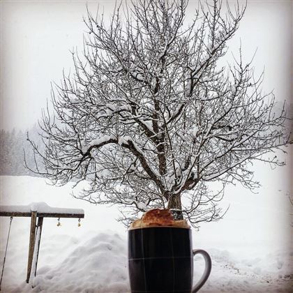 Een kop koffie staat op de voorgrond, terwijl sneeuw op een kale boom en het landschap op de achtergrond ligt. Het is een rustige, winterse scène.