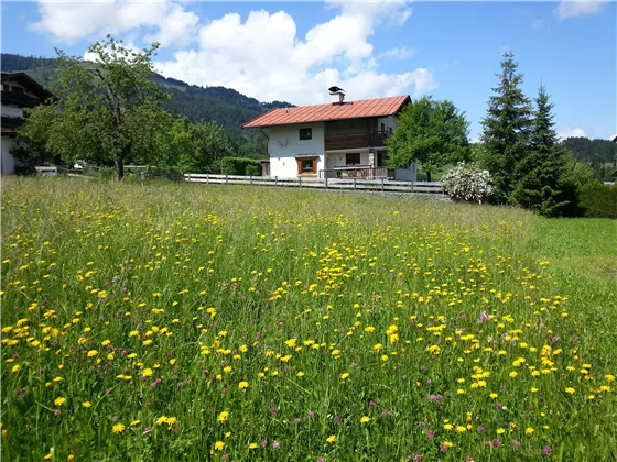 2016_Haus mit Blumenwiese