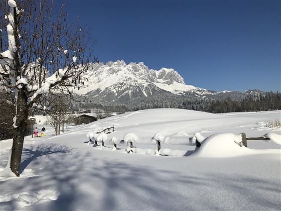 2017 Blick vom Golfplatz zum Wilden Kaiser