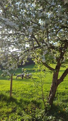 20180427_175608[1]