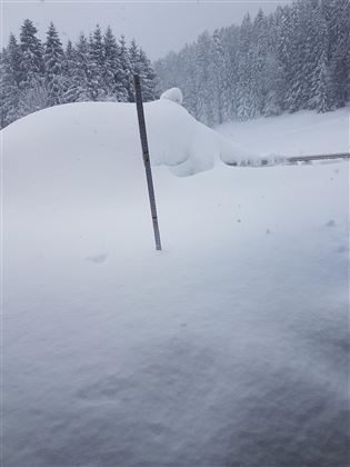 2019  Ausblick auf die Piste