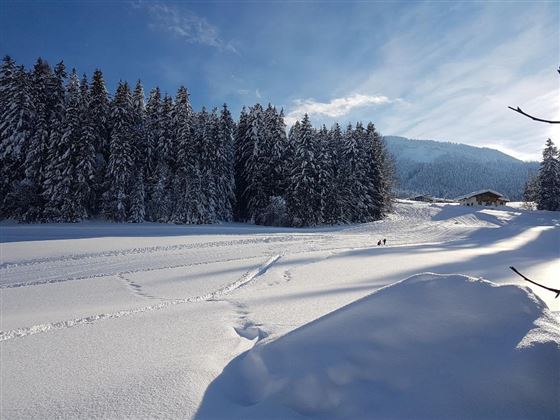 2019 Blick zur Piste