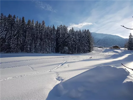 2019 Blick zur Piste