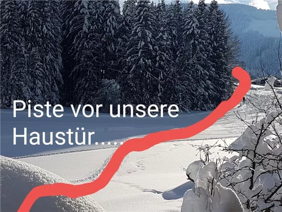 2019 Piste