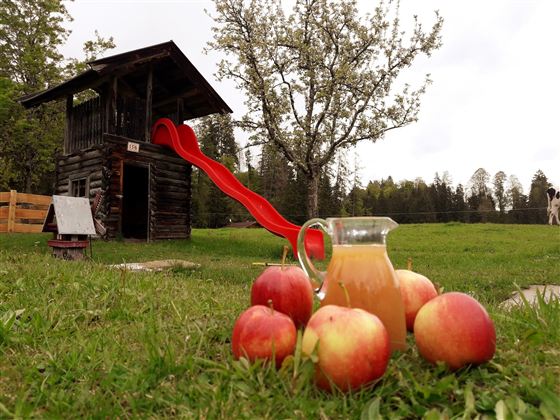 Een houten speelplaats met een glijbaan en een appelboom op de achtergrond. Vooraan staat een kan sap en liggen er meerdere appels op het gras.