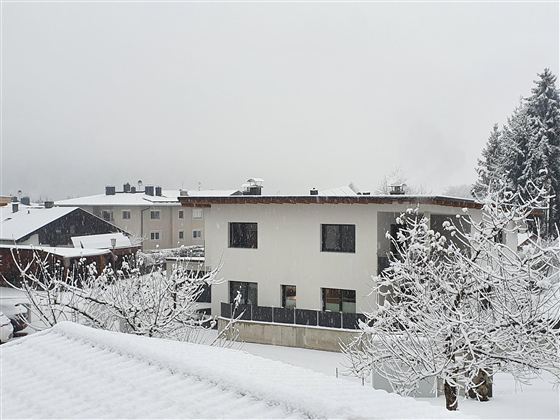 A snowy residential area with white buildings and trees. The sky is gray and the landscape is wintery calm.