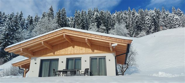 Ein modernes Holzhaus inmitten einer schneebedeckten Landschaft. Hohe, verschneite Bäume und ein klarer blauer Himmel umgeben die Szene.