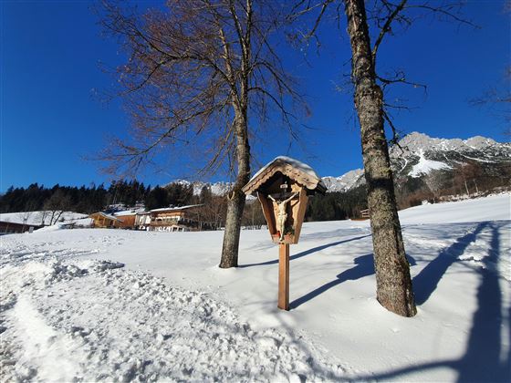 A winter view with snow-covered ground and two trees. In the foreground, there is a birdhouse in front of a picturesque mountain backdrop.
