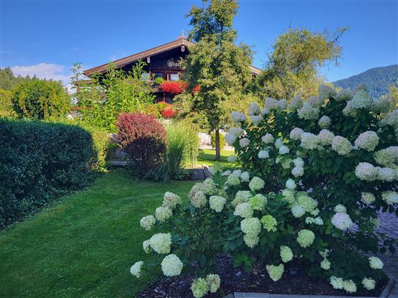 A beautiful garden with lush flowers and shrubs. In the background stands a wooden house and there is a blue sky.