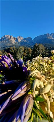 Kleurige bloemen op de voorgrond met majestueuze bergen op de achtergrond. De lucht is helder en blauw.
