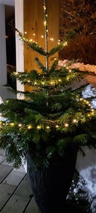 Ein kleiner Weihnachtsbaum in einem Blumenkübel, geschmückt mit warmen Lichtern. Die Umgebung ist winterlich mit Schnee.