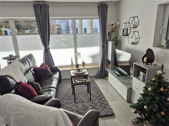 Ein gemütliches Wohnzimmer mit einer dunklen Couch, einem kleinen Tisch und einem Fernseher. Im Raum steht ein Weihnachtsbaum und große Fenster sorgen für viel Tageslicht.