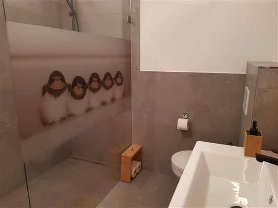 Moderní koupelna s průhlednou sprchovou stěnou, která zobrazuje tučňáky. Je zde jasné umyvadlo a jednoduchá, elegantní atmosféra.