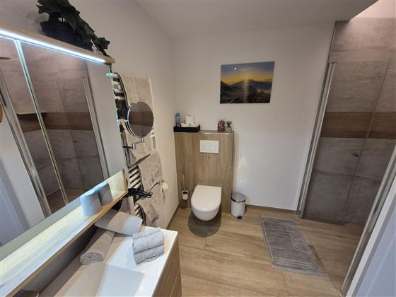 Ein modernes Badezimmer mit Fließen in Holzoptik und einer eleganten Dusche. Der Raum ist hell und ordentlich.