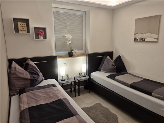 Ein modernes Schlafzimmer mit zwei Einzelbetten. Es gibt eine kleine Pflanzen dekoriert und sanfte Beleuchtung.