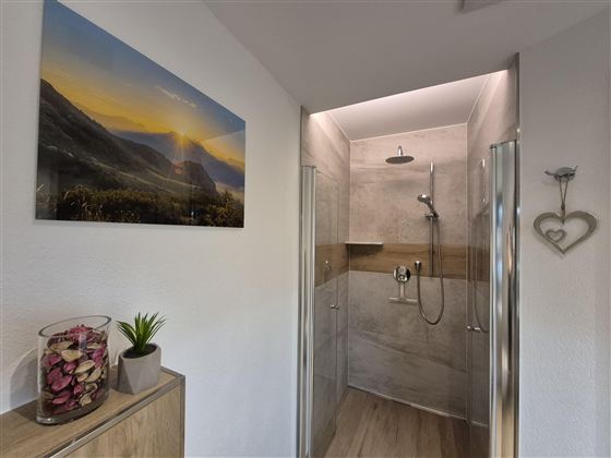 Hell beleuchtetes Badezimmer mit einer großen Dusche. An der Wand hängt ein Acryl-Bild einer Landschaft mit Sonnenuntergang.