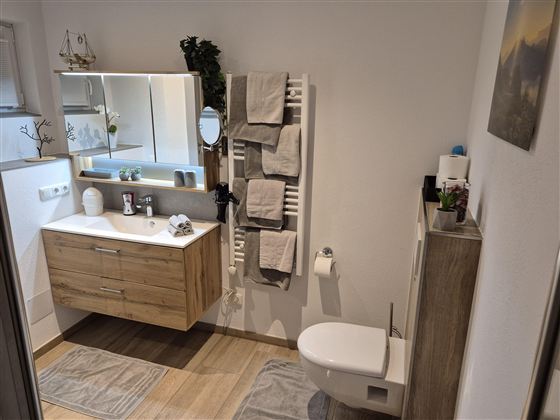 Ein modernes Badezimmer mit hellem Holzschrank und einem großen Spiegelschrank. Handtücher hängen ordentlich an einem Handtuchhalter, und der Boden ist mit gemütlichen Teppichen ausgestattet.