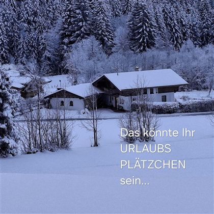 Een besneeuwd vakantiehuis omgeven door met sneeuw bedekte bomen. Het rustige winterlandschap nodigt uit tot ontspanning.