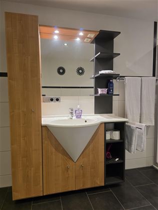 Een moderne badkamer met een stijlvol wastafel en een grote spiegel. Aan de muur hangen planken met verzorgingsproducten en handdoeken.