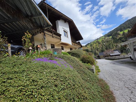 Ein gemütliches Haus in einer ländlichen Umgebung, umgeben von grünen Sträuchern und bunten Blumen. Im Hintergrund sind sanfte Hügel und ein blauer Himmel zu sehen.