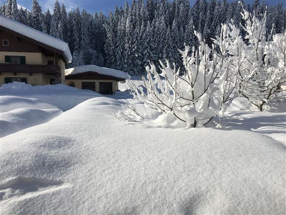 A winter landscape with snow-covered ground and trees. In the background, traditional buildings and a dense, snowy forest landscape can be seen.