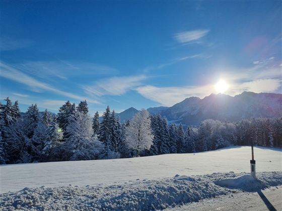 5c5dd3d9-a9e0-49d1-ab3c-1f815e81d55f