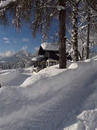 A charming house in the snow, surrounded by snowy trees and a clear blue sky. The winter landscape radiates tranquility and peace.