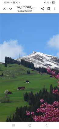 631a4408-b080-4b2b-8e06-3294a5fea691-1_all_26961