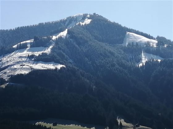 631a4408-b080-4b2b-8e06-3294a5fea691-1_all_8879