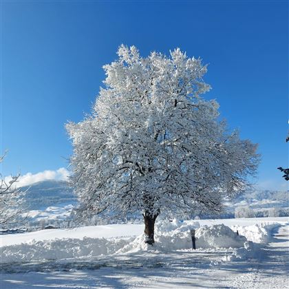 Aussicht Winter von Terrasse