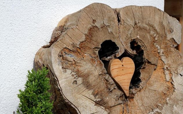 Ahornabschnitt aus Eigenbestand