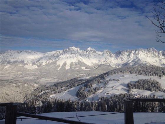Eine winterliche Berglandschaft mit schneebedeckten Gipfeln und Wäldern. Der Himmel ist klar und beleuchtet.