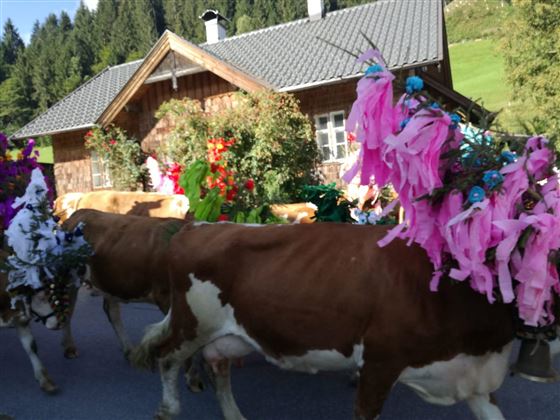 Almabtrieb