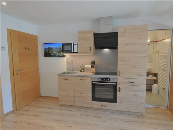 A modern kitchen unit made of wood with a stove, a refrigerator, and a microwave. In the background, a bathroom is visible, and there is a television on the wall.