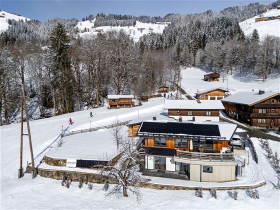 Alpenchalet_Zur_Hinterochsenweide_Ritschberg_3_Bri