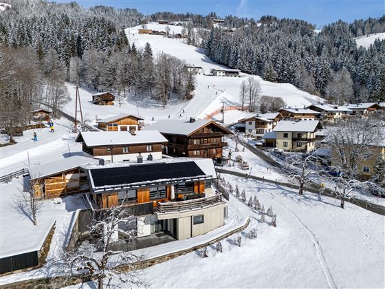 Alpenchalet_Zur_Hinterochsenweide_Ritschberg_3_Bri