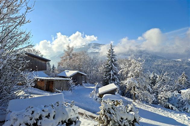 Eine schneebedeckte Landschaft mit Hütten und hohen Tannen. Der Himmel ist klar und blau, umrahmt von Berggipfeln.