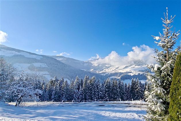 Eine wunderschöne Winterlandschaft mit schneebedeckten Bäumen und Bergen. Der blaue Himmel und die Sonnenstrahlen verleihen der Szene eine helle Atmosphäre.