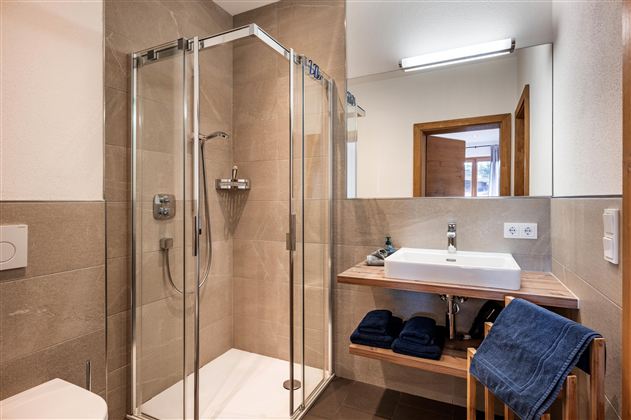A modern bathroom with a glass shower and a stylish sink. Towels are neatly placed on a wooden shelf.