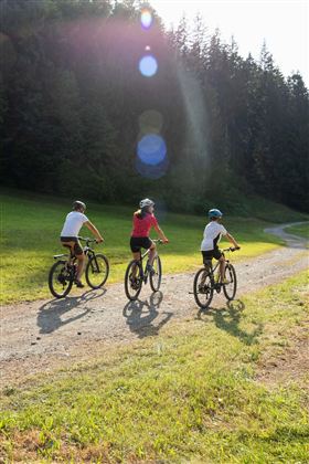 Drie personen fietsen op een grindpad. Het landschap is groen, omringd door bomen en zonlicht.