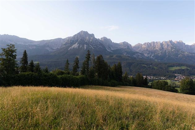 Een schilderachtig landschap met groene weilanden en majestueuze bergen op de achtergrond. De lucht is helder en de sfeer is vredig.