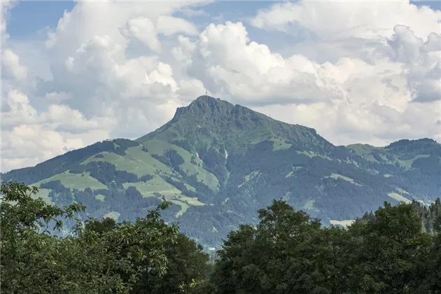 Appartement Alpenblick Ausblick