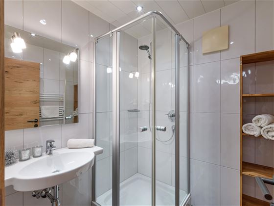 Appartement_Lorenzoni_Top_15_Dr_Erhart_Strasse_7_K