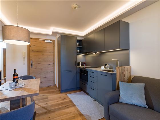 Appartement_Lorenzoni_Top_15_Dr_Erhart_Strasse_7_K