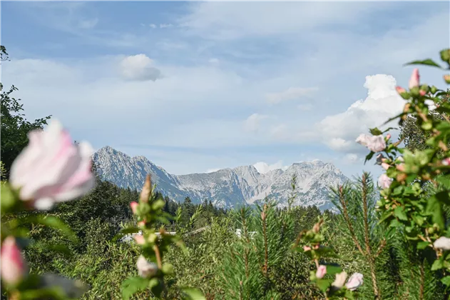 Appartements-Klammerhof_Sommer-11