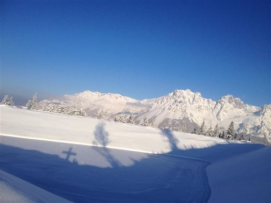 A snow-covered landscape with majestic mountains in the background and a clear blue sky. The shadows of the trees fall softly on the snow.