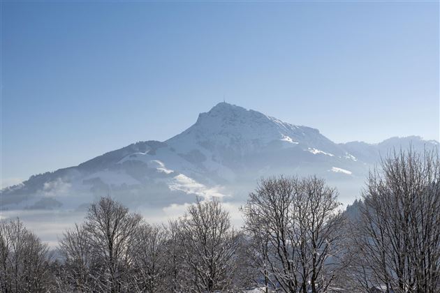 Ein schneebedeckter Berg erhebt sich majestätisch über einer nebligen Landschaft. Im Vordergrund sind kahle Bäume sichtbar.